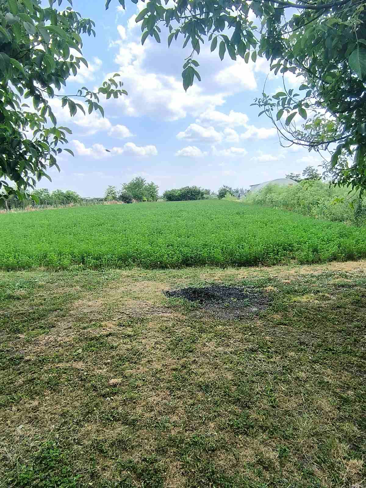 Kuća u Prhovu 600m2