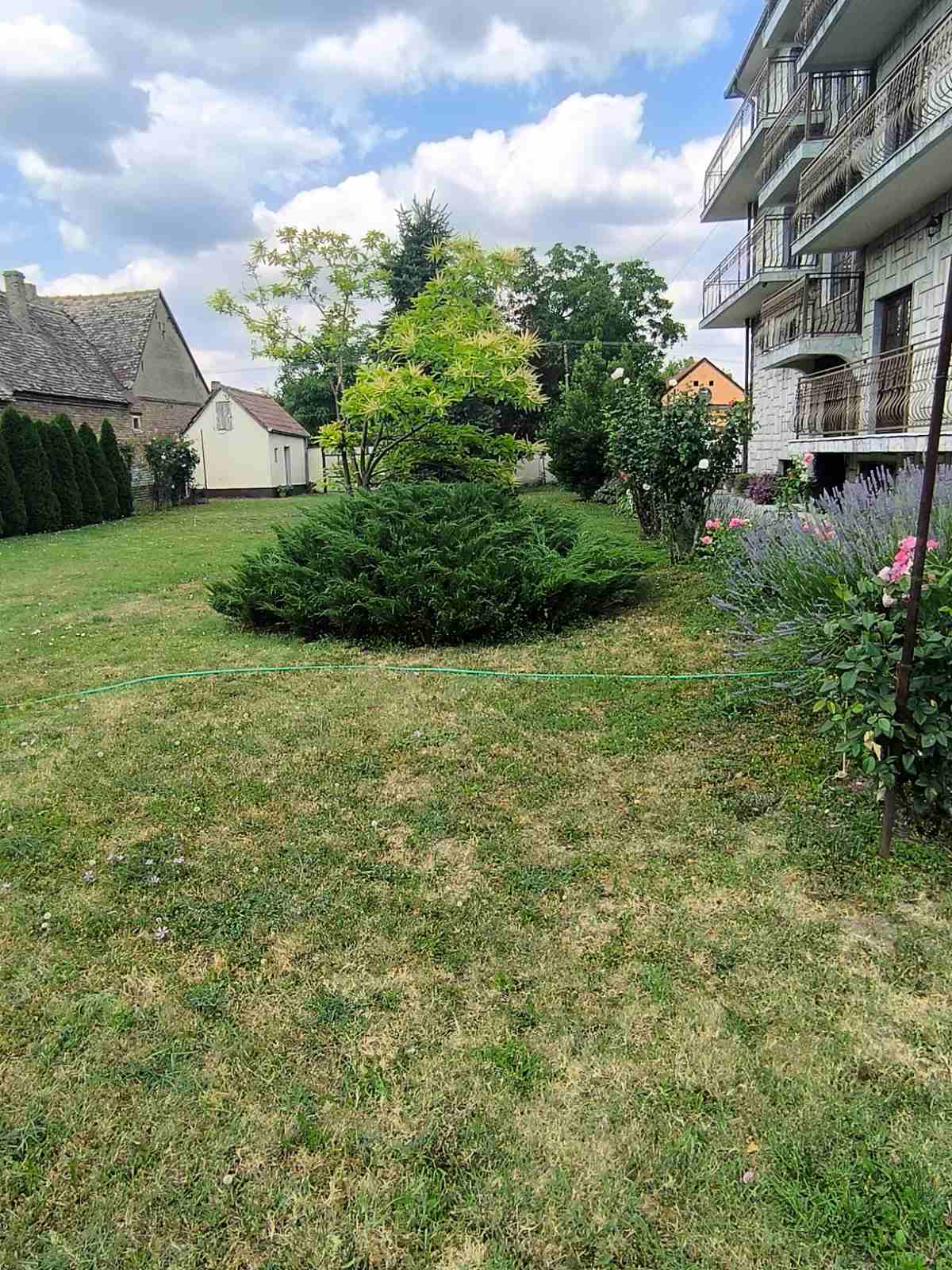 Kuća u Prhovu 600m2