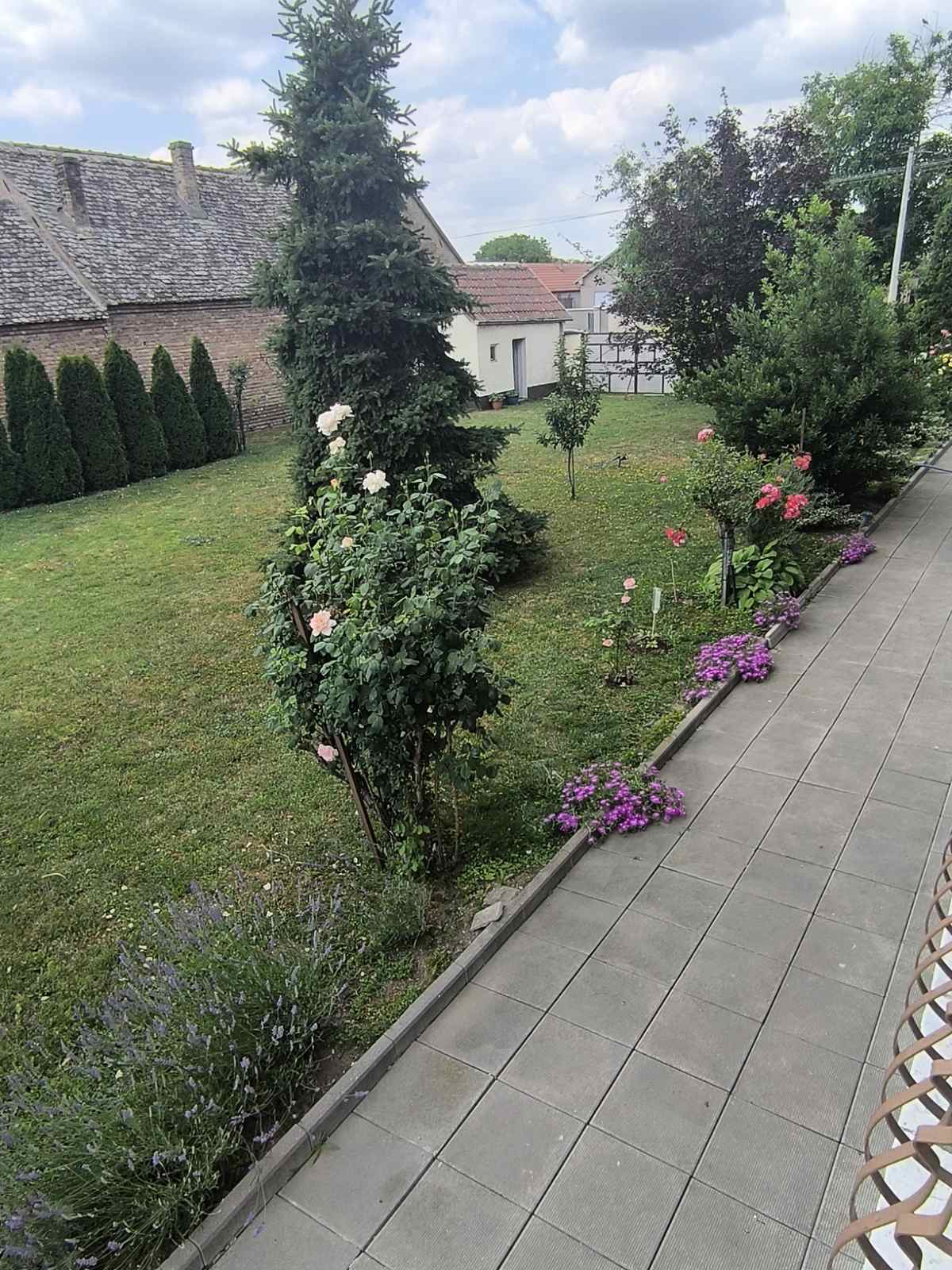 Kuća u Prhovu 600m2
