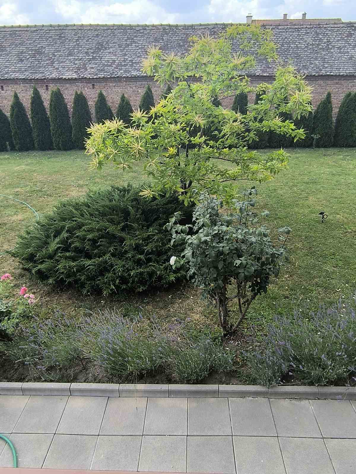 Kuća u Prhovu 600m2
