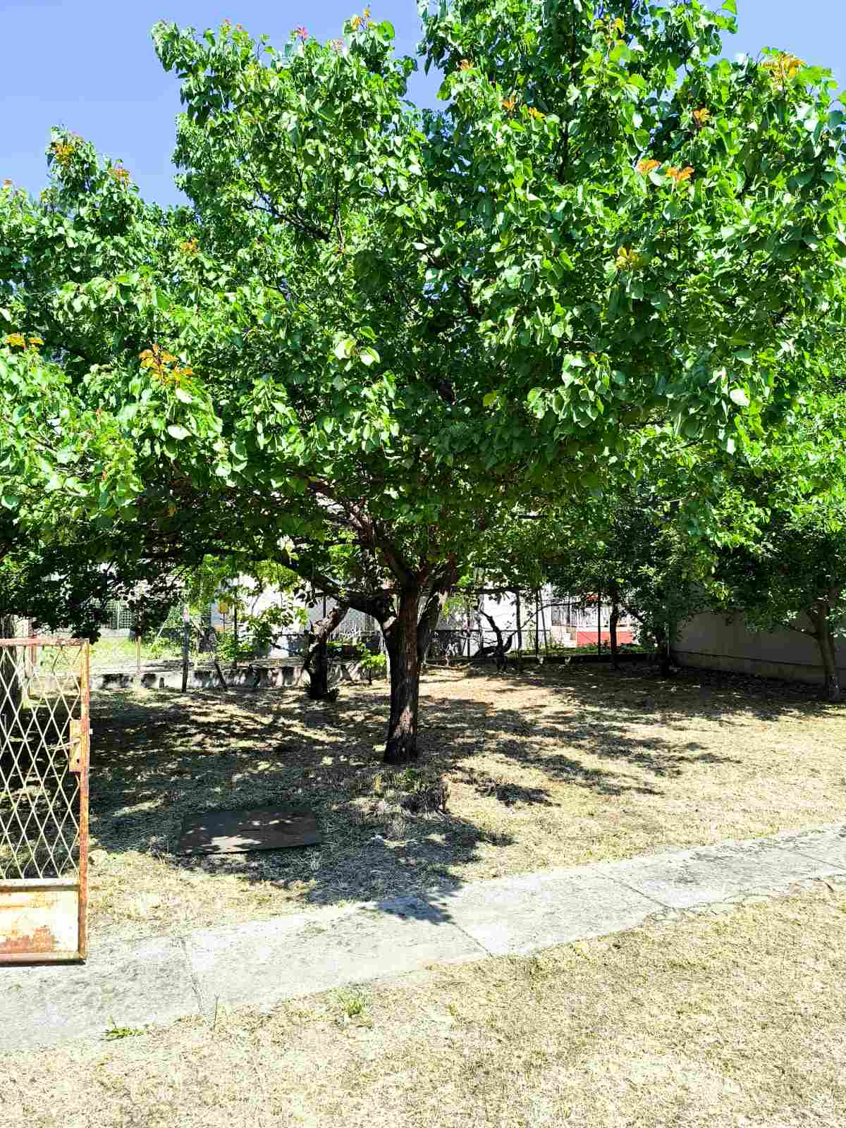 Kuća i građevinsko zemljište Surduk