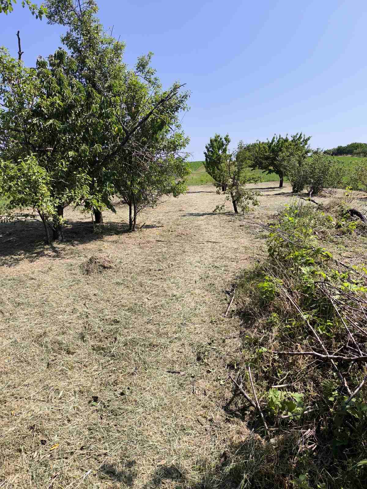 Kuća i građevinsko zemljište Surduk