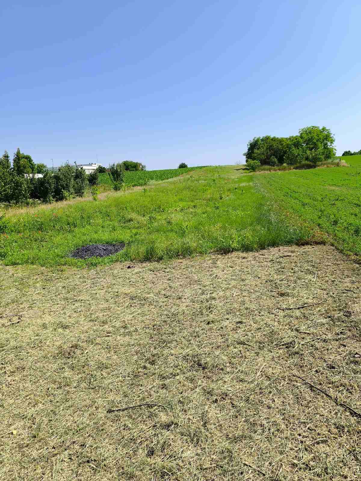 Kuća i građevinsko zemljište Surduk