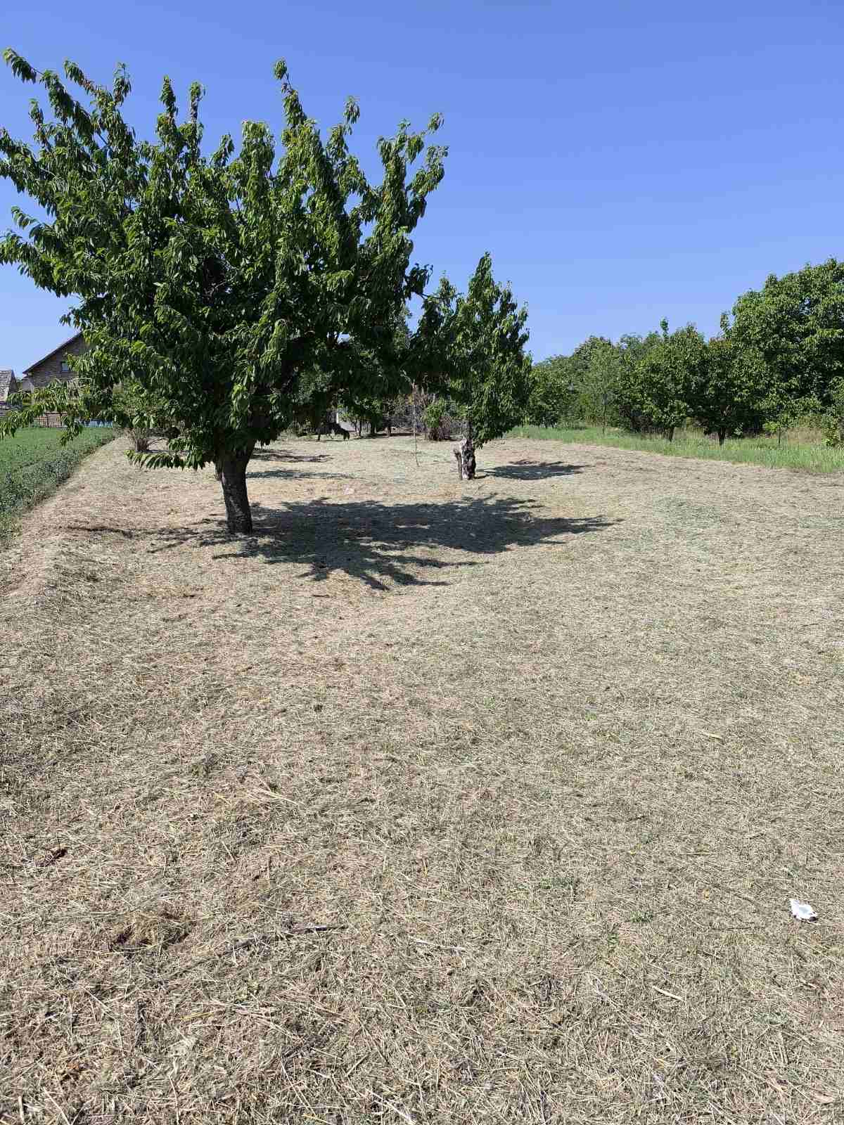 Kuća i građevinsko zemljište Surduk