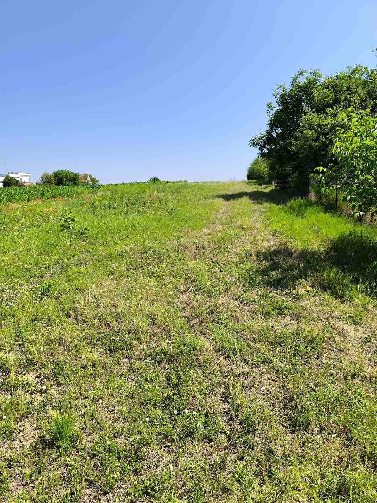 Kuća i građevinsko zemljište Surduk