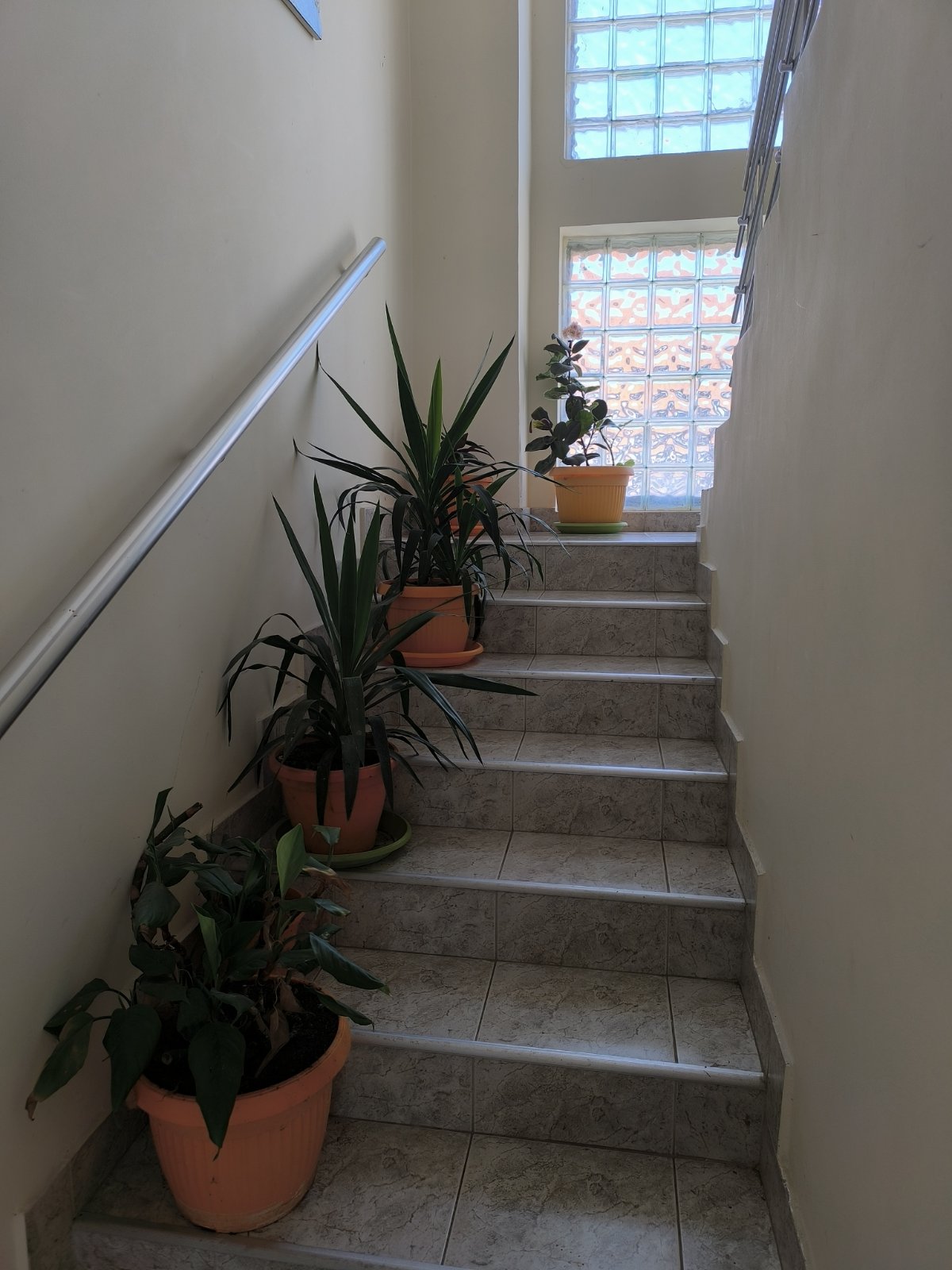 Kuća Bečmen 420m2