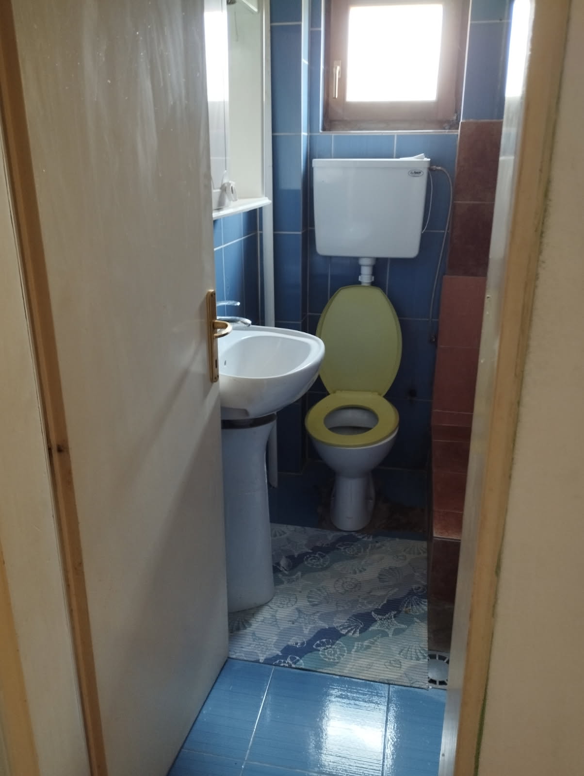 Kuća sa pomoćnim objektom – halom u Petrovčiću