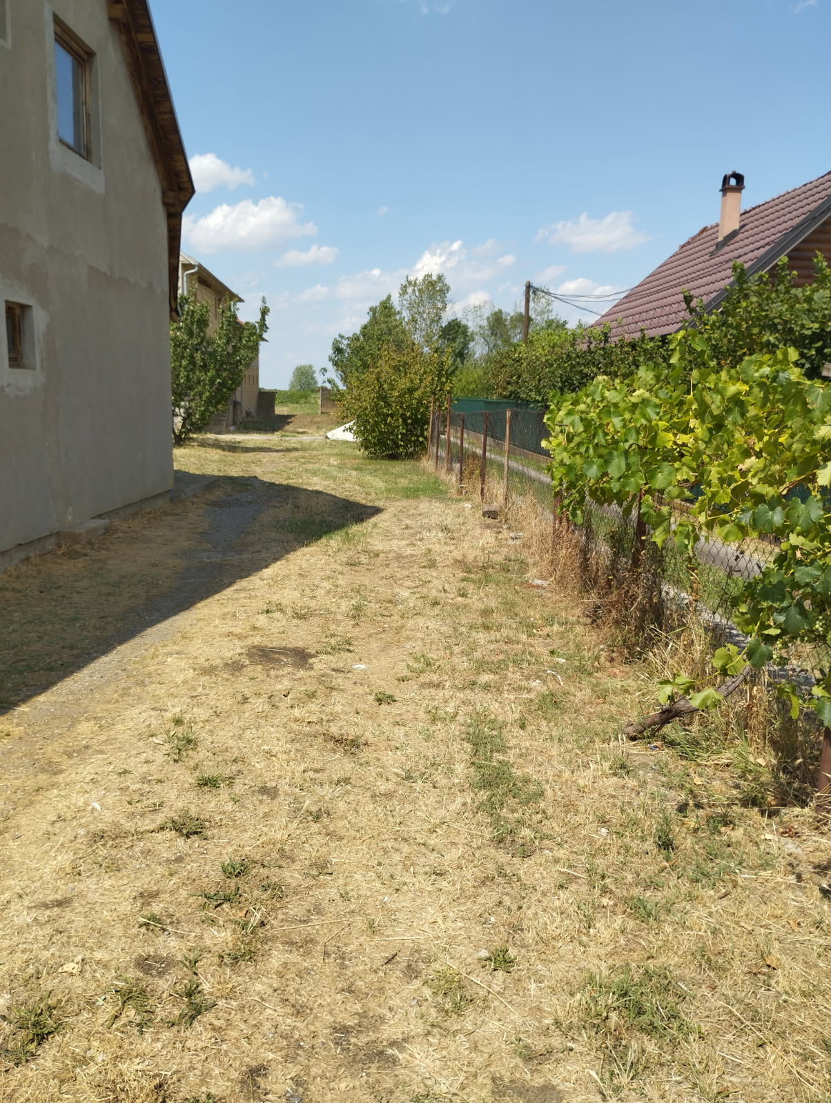 Kuća sa pomoćnim objektom – halom u Petrovčiću