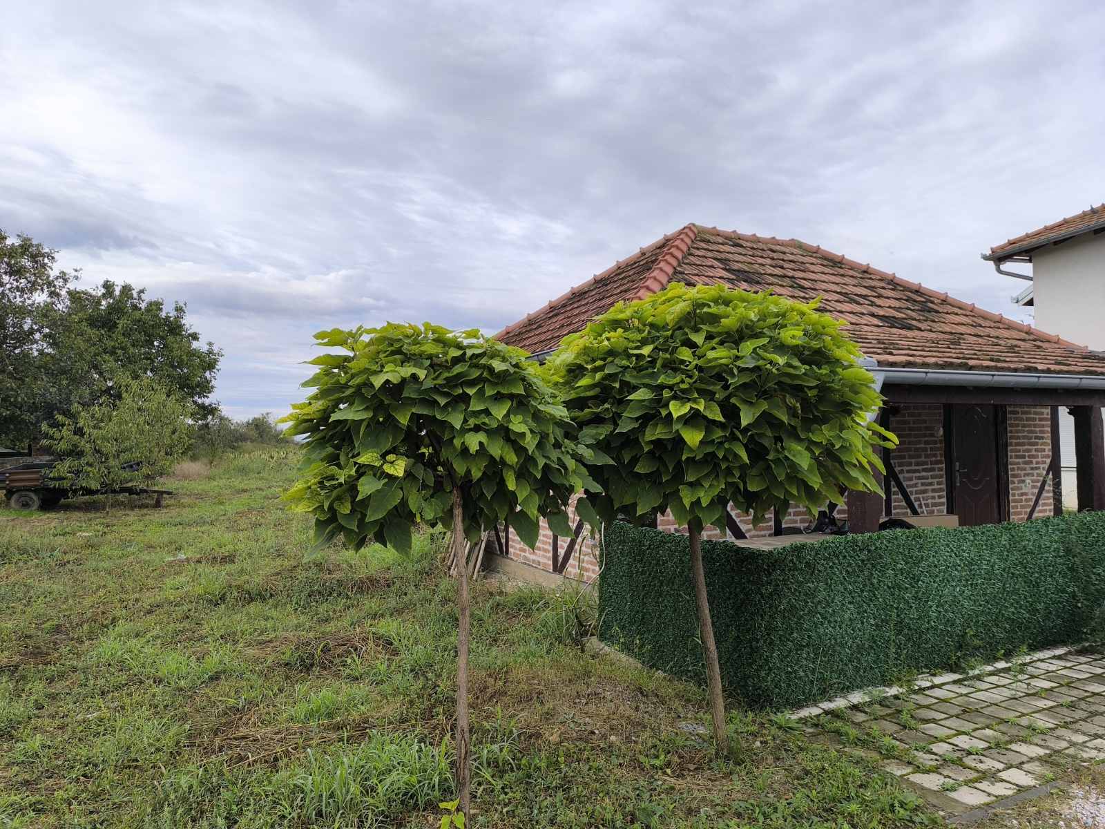 Kuća i hala u Karlovčiću