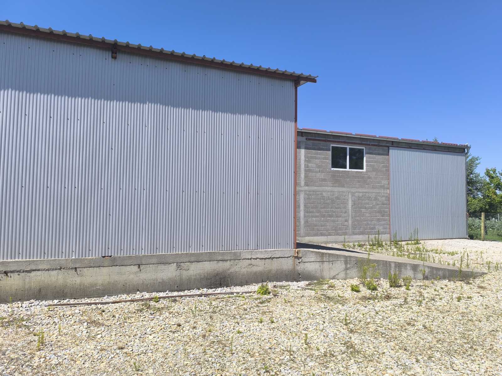Hale 250m2 i 390m2 Buđanovci – izdavanje