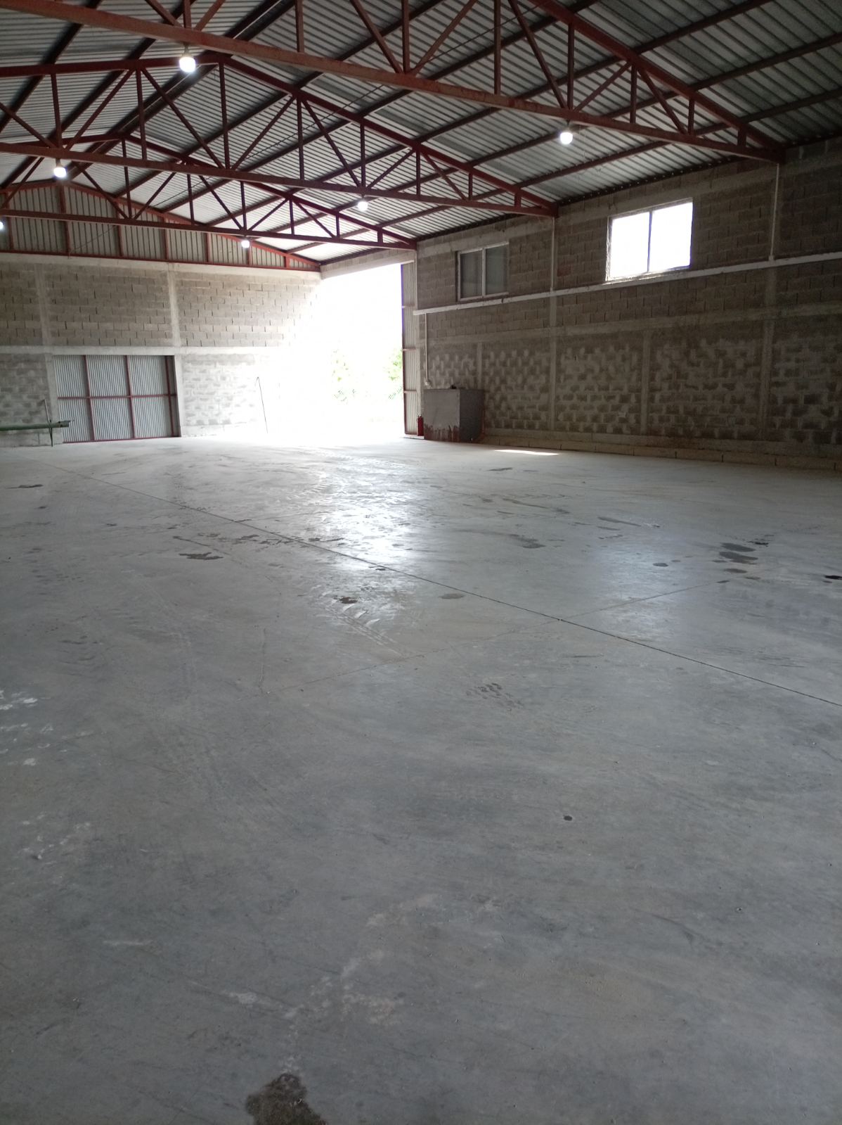 Hale 250m2 i 390m2 Buđanovci – izdavanje