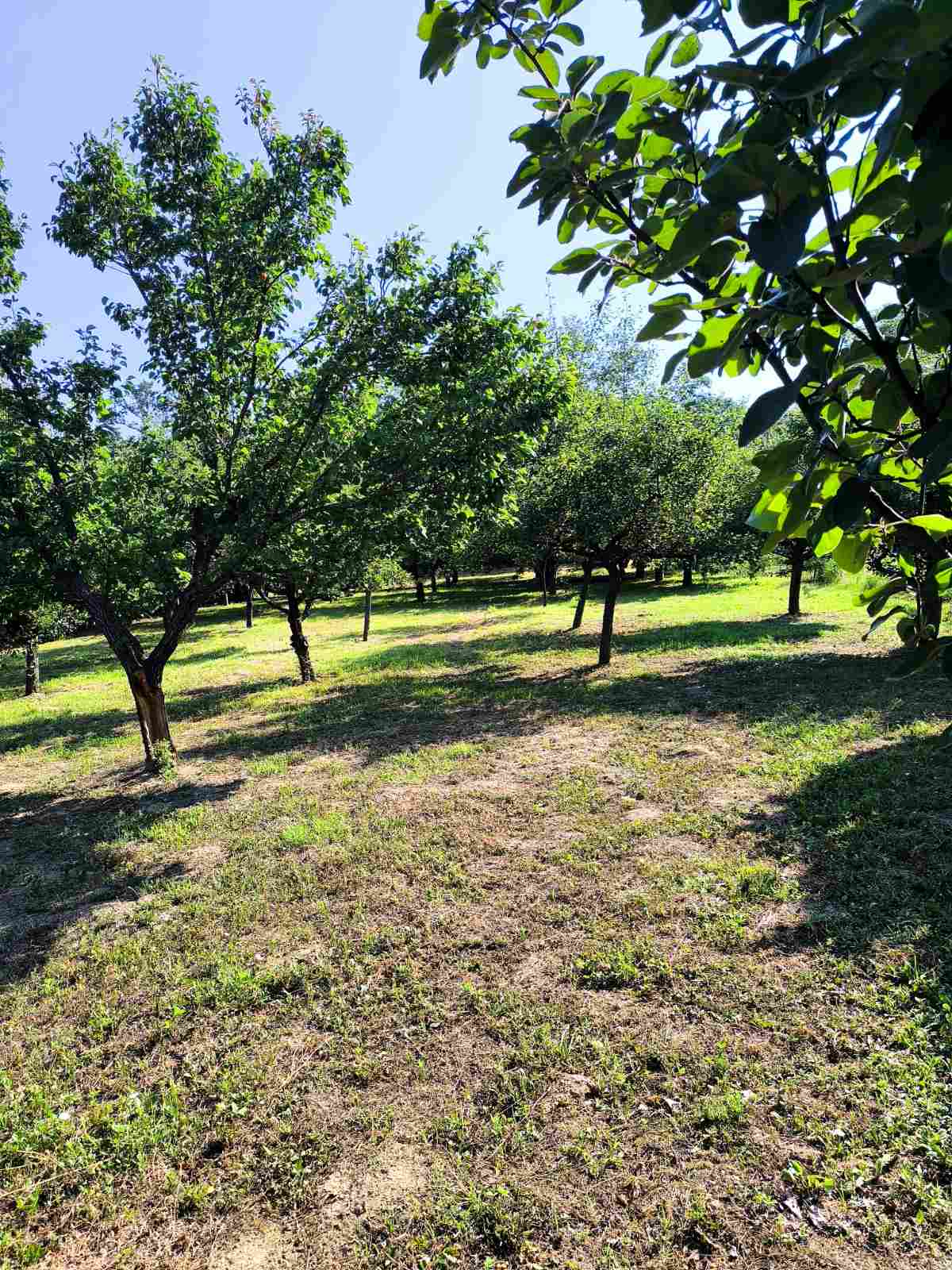 Građevinska parcela Obrež 44,55 a