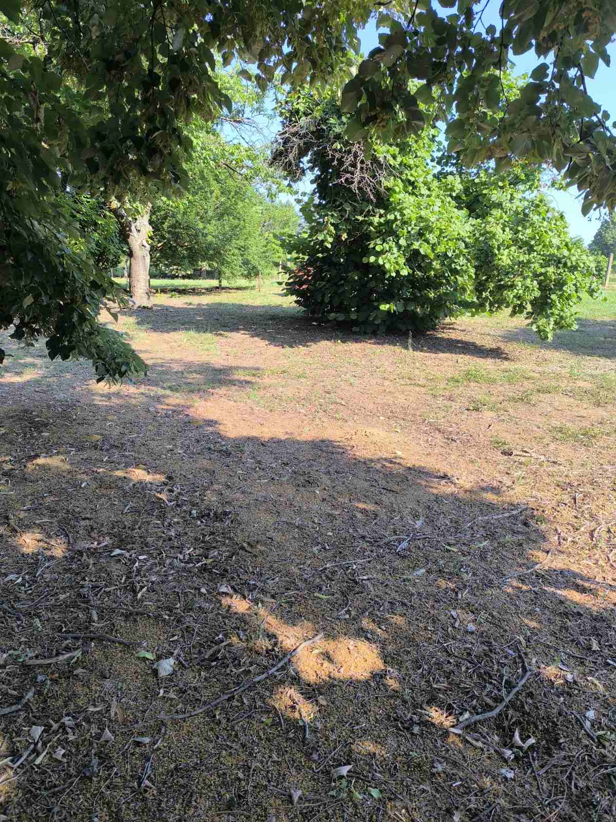 Građevinska parcela Obrež 44,55 a