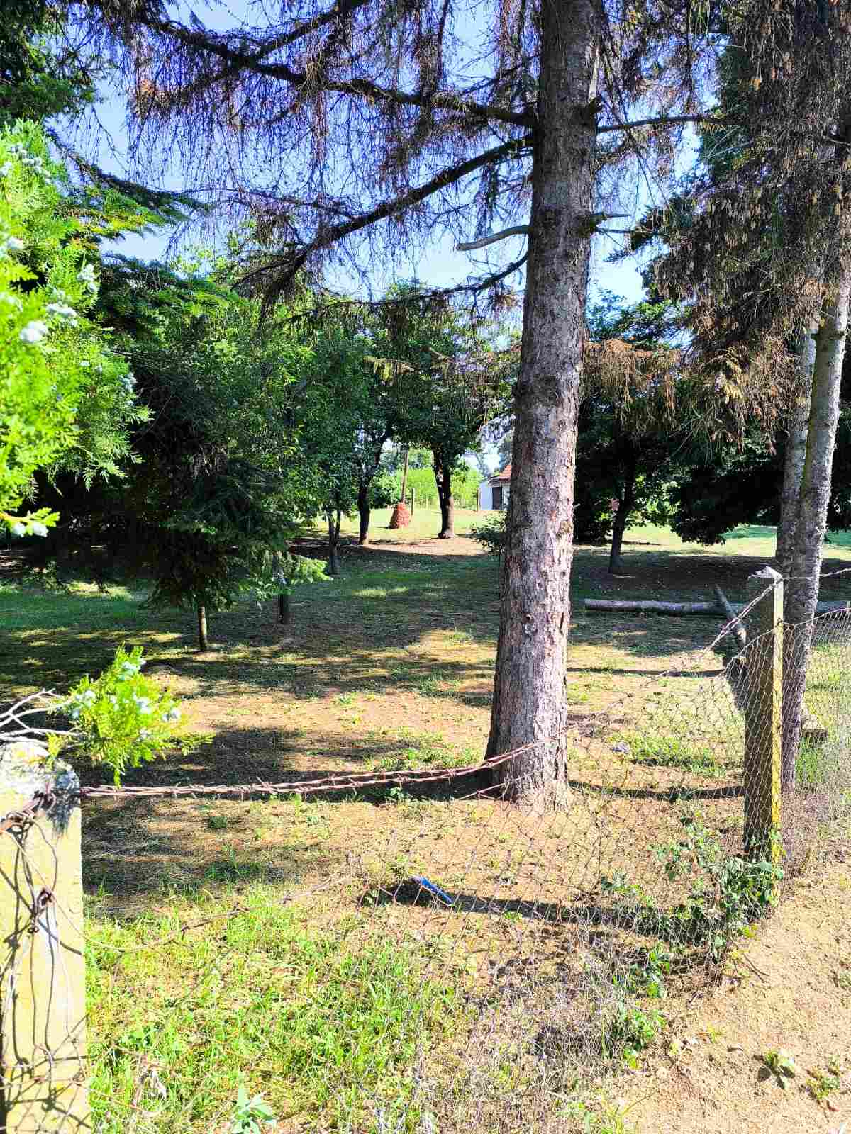 Građevinska parcela Obrež 44,55 a