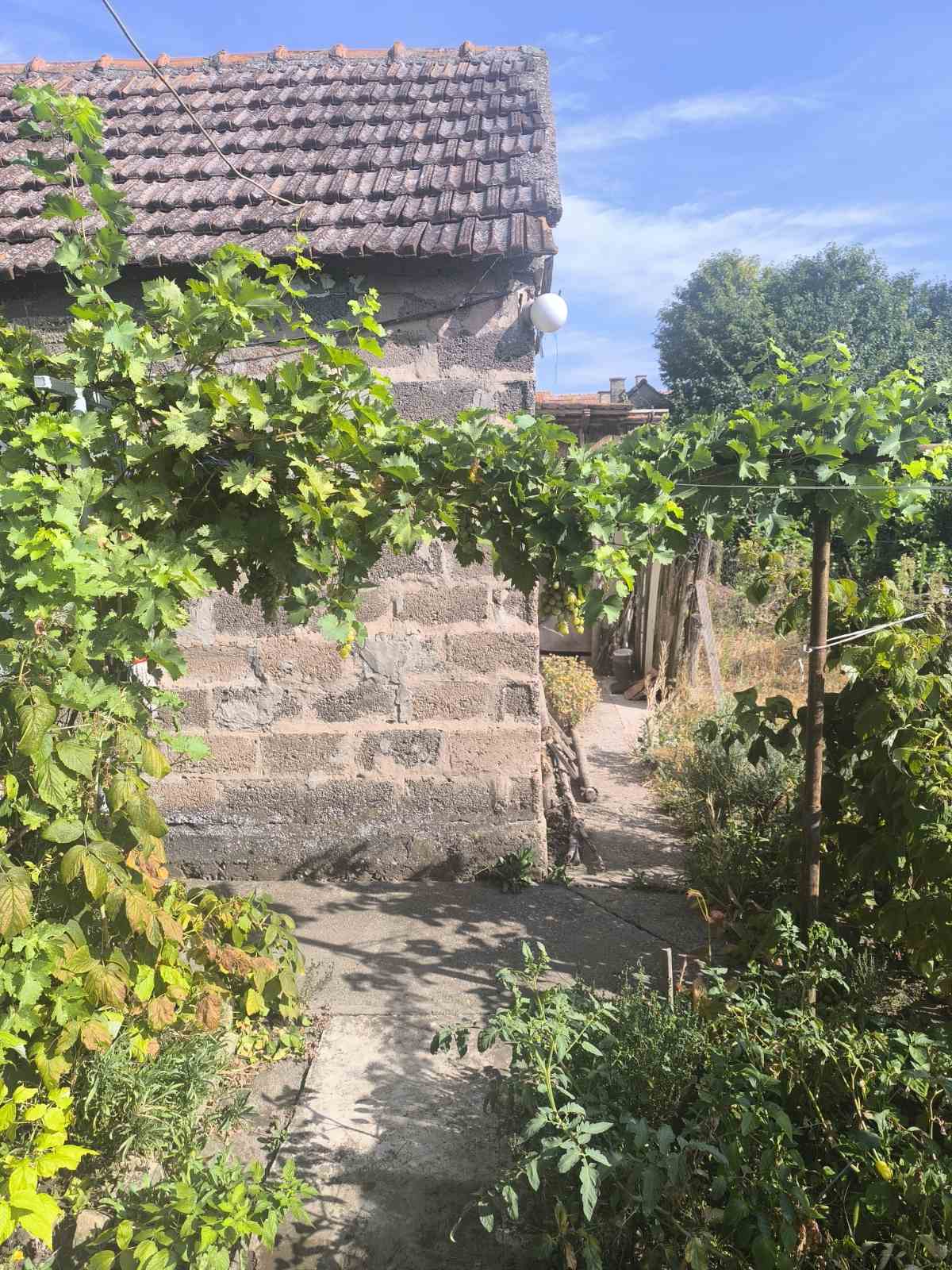 Kuća u Staroj Pazovi Kuća u Staroj Pazovi