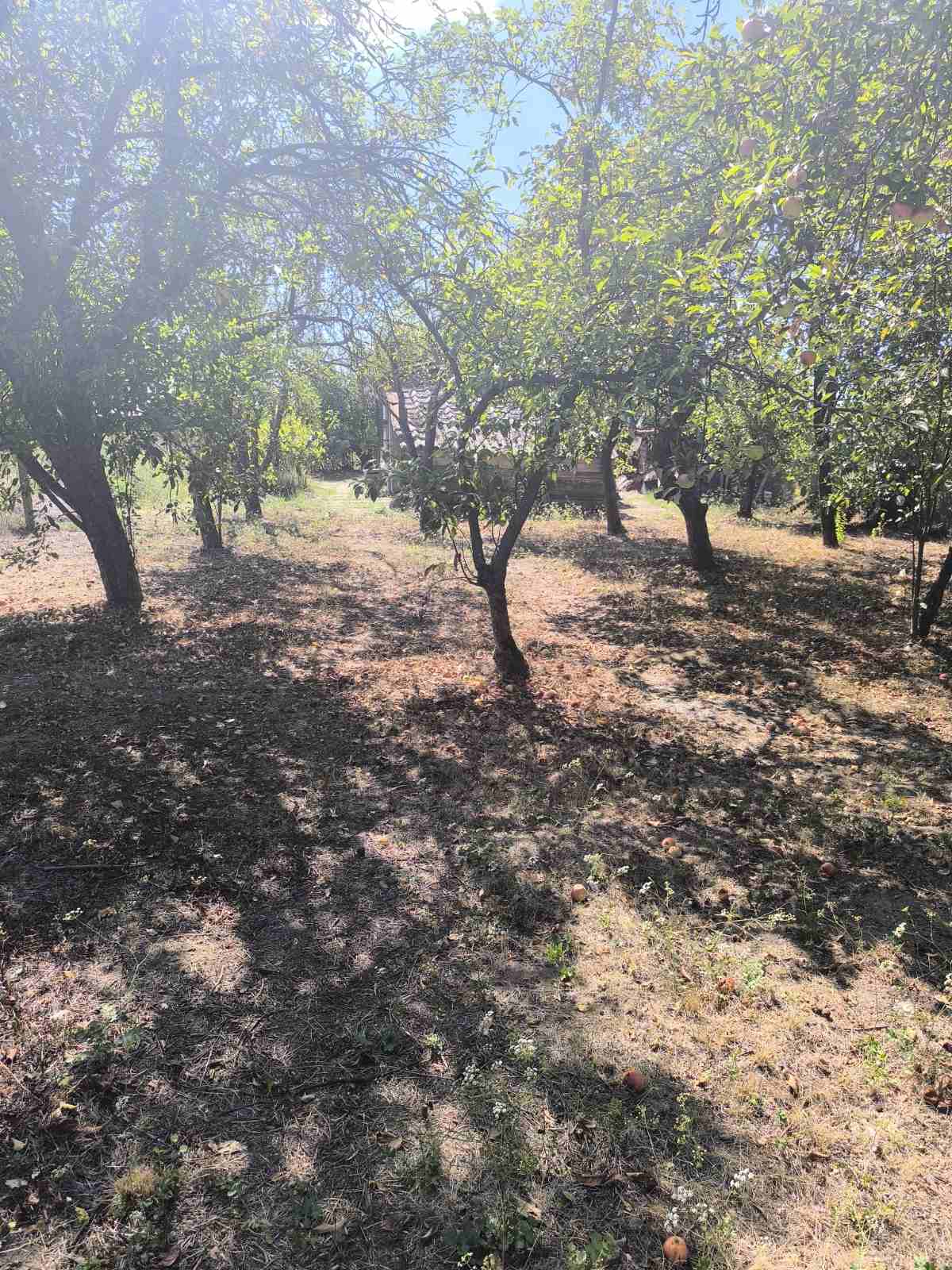 Kuća u Obrežu 156 m2 Kuća u Obrežu 156 m2