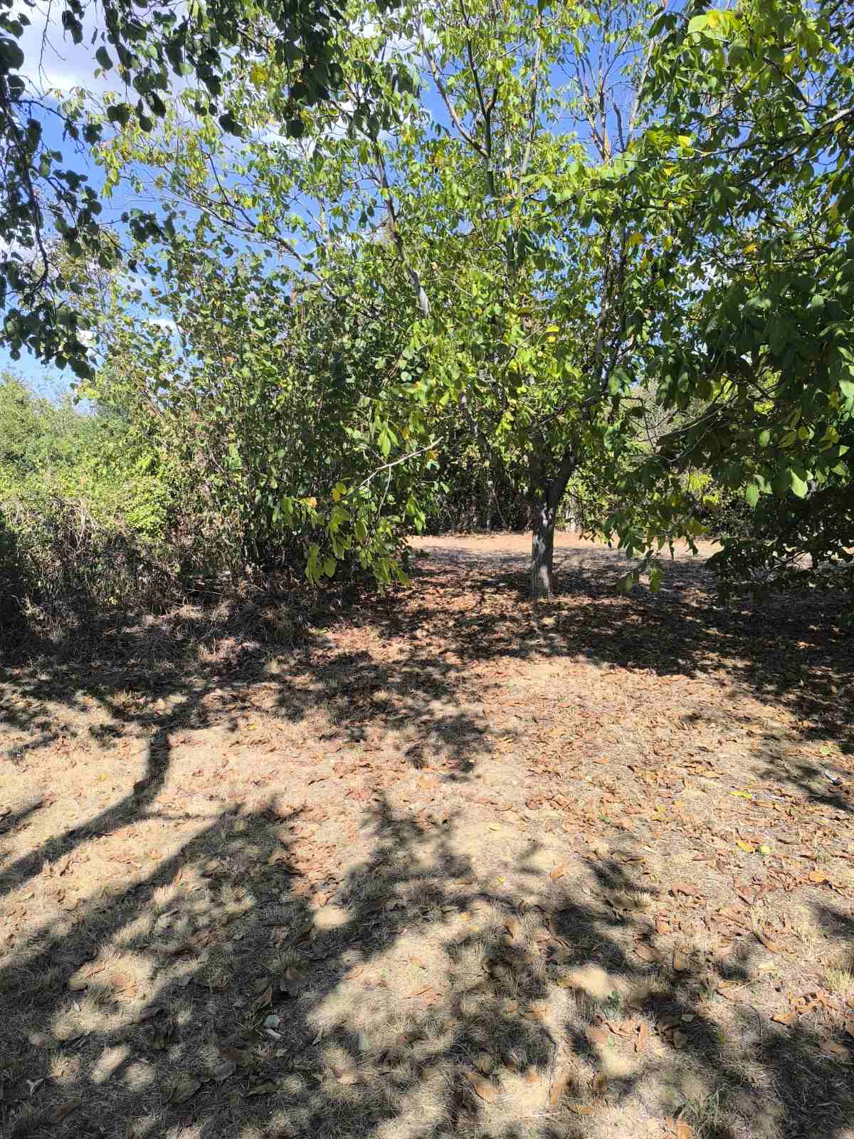 Kuća u Obrežu 156 m2 Kuća u Obrežu 156 m2